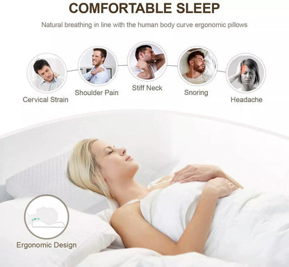 OrthoSleep Memory Foam Neck Pillow